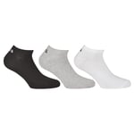 Fila Chaussettes Invisible Sneakers Unisexes, 3 Paires - Chaussettes Courtes, Logo À La Taille, Uni, 35-46 Noir 39-42 (6-8 Uk)