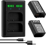 2 batteries DWM-BLK22 2200 mAh + chargeur LED double USB avec port de type C pour appareils photo Panasonic DMW-BTC15 Lumix DC-GH5 II DC-GH6 DC-S5 G9 GH5 GH5S