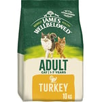 James Wellbeloved Adult Turkey 10 kg Bag, Hypoallergenic Dry Cat Food