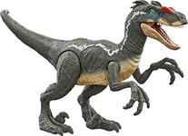 Jurassic World Raptor Dinosaure Jouet articulé, Cadeau +4 Ans (Mattel HNC11)