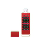 Clé USB SéCuriséE, Clé USB CryptéE de 256 Go avec Mot de Passe MatéRiel, Clé USB avec Clavier USB 3.0 Disk Flash