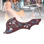 Hummingbird Pickguard Easy To Install Acoustic Guitar Hummingbird Pickguard For