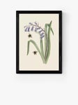 EAST END PRINTS Natural History Museum 'Bee & Hyacinth' Framed Print