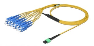 Fiber optisk MPO hun til 12 x SC Simplex han - Single-mode