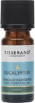 Tisserand Aromatherapy Eucalyptus Ethically Harvested Pure Essential Oil 9ml