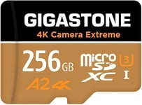 [5 Ans Récupération de données Gratuite] Carte Mémoire 256 Go,Camera Extreme Max,Vitesse jusqu'à 160/130 Mo/s,pour GoPro,DJI,Drone,4K Video A2 V30 U3 MicroSDxC avec Adaptateur..[Y303]