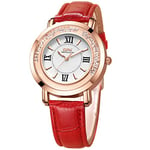 Basfur Dress Watch Fe-Montre-023-05