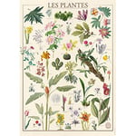 Nathan - Puzzle 1500 pièces - Les plantes - Muséum national d'Histoire naturelle - Adultes et enfants dès 14 ans - Puzzle de qualité supérieure - Collection Nostalgie - 87309