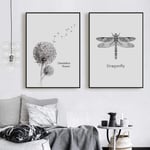 Dandelion Vintage Poster Black White Dragonfly Canvas Art Prints Wall Painting Nordic Decoration Wall pictures for living room 50x70cmx2 Unframed