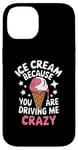 iPhone 14 Ice Cream Because You Are Driving Me Crazy Case