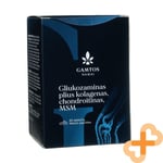 GAMTOS NAMAI Glucosamine Collagène Chondroitine Msm 60 Comprimés Articulations