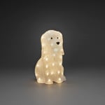 Gnosjö Konstsmide Dekorationsbelysning Hund Akryl 31cm 40 Led akryl 6299-103