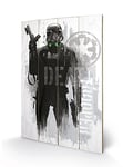 Pyramid International Star Wars Rogue One Death Trooper Grunge Print, Wood, Multi-Colour, 40 x 59 x 1.3 cm