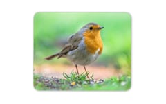 Beautiful Red Robin Mouse Mat Pad - Pretty Bird Christmas Computer Gift #15509