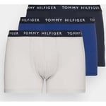 Caleçons Tommy Hilfiger  Lot de 3 boxers  bleus en coton stretch