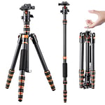 K&F Concept 61" Carbon Fibre Camera Tripod, Lightweight Compact Tripod with 2 Sections Central Column, Low Profile Ball Head and Carry Bag for DSLR Camera