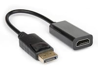 Hamlet XVADP-HDM câble vidéo et adaptateur DisplayPort HDMI Type A (Standard) N