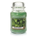 YANKEE Candle Large Jar FRESH MINT 623 g SINGLE WICK BURN TIME 110 - 150 Hrs NEW