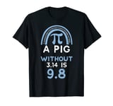 Physics: A Pig Without 3.14 Is 9.8 - Pi Day Sayings T-Shirt