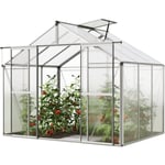 GFP Serre de jardin Orchidee 3 structure en aluminium 256 x 192 cm panneaux en polycarbonate - aluminium naturel