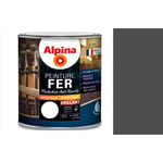 Peinture fer antirouille Gris carbone brillant 0.5L ALPINA décoration protection Résiste aux choc humidité