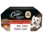 24 X 150g Cesar Luxury Adult Wet Dog Food Trays Mixed Selection In Sauce