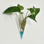 Plante à Fleur en Forme De Cône De 16cm | Terrarium Suspendu, Vase en Verre, Bouteille Jardin