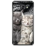 Bjornberry Skal Samsung Galaxy A5 6 (2016)- Vilande Katter