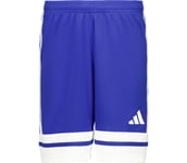 Squadra 25 Jr shorts Barn ROYBLU/WHITE 128