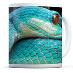 Blue Viper Snake - Drinks Mug Cup Kitchen Birthday Office Fun Gift #15896