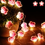 Ljusslinga med 40 LED rosa körsbärsblommor