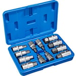 TecTake Ensemble de clé à douille embouts hexagonal intérieur longues/courtes | Coffret stable inclus - diverses modèles - (Type 1 | 12pcs | No. 402688)