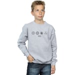 Sweat-shirt enfant Fantastic Beasts  BI16757