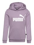 PUMA Ess Logo Hoodie Fl G Lila