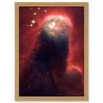 Artery8 Hubble Space Telescope Image Cone Nebula NGC 2264 Large Red Blue Pillar Of Gas And Dust In Star Forming Incubator Region Artwork Framed A3 Wall Art Print