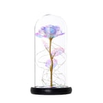 jieGorge Romantic Glass Rose Flower Wedding LED Light Decoration Valentine's Day Gift, Home Decor for Easter Day (White)