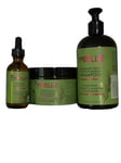 Mielle Organics Rosemary  Strengthening Shampoo & masque & scalp oil gift set