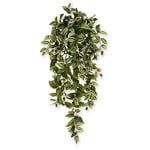 BloomPost Tradescantia 100 cm Plante Artificielle Suspendue - Plante Décorative Idéale pour la Maison et Le Bureau, la Chambre, Le Salon et la Cuisine