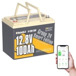 12V 100Ah LiFePO4 Bluetooth Batterie Lithium avec Protection à Basse Température