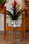 Florny Handmade Solid Wood Plant  Stand Planter  (40 cm)