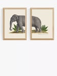 EAST END PRINTS Natural History Museum 'Elephant' Framed Print, Set of 2