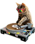 SUCK UK Grattoir pour Chat en Forme de Platine de DJ