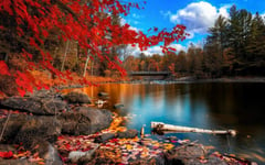 JWJW_Jigsaw Puzzle 300 Pieces Adult Jigsaw Puzzle Classic Jigsaw Puzzle Family Skill Game Children Jigsaw Puzzle Gift Landscape_Autumn Forest Lake (T321)