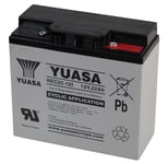 YUASA REC22-1 12V 22AH GOLF TROLLEY BATTERY for HILLBILLY MOTOCADDY MOCAD FRASER