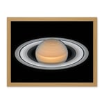 Artery8 Hubble Space Telescope Image Saturn Opposition 2018 Portrait Of Opulent Ring World Solar System Gas Giant Planet Artwork Framed Wall Art Print 18X24 Inch