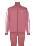 Adidas Sportswear Sportswear Basic 3S Tricot Tracksuit Burgundy