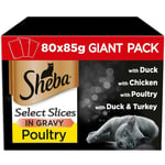 80 X 85g Sheba Select Slices Wet Cat Food Pouches Poultry Collection In Gravy