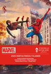 Marvel's Spider-Man and Friends: The Ultimate Alliance by Thomas Kin (US IMPORT)