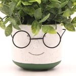 Edington Decor Pot de Fleurs en Forme de tête avec Lunettes pour intérieur et extérieur - Pot de Cactus Mignon et Unique avec Trou de Drainage - Ciment - 10,2 cm (Vert)