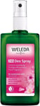 Weleda Wild Rose Deodorant, 100 ml